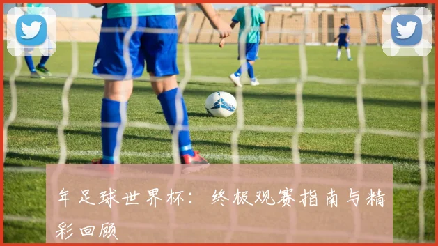 年足球世界杯：终极观赛指南与精彩回顾