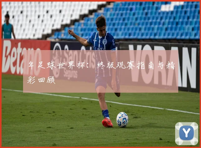 年足球世界杯：终极观赛指南与精彩回顾